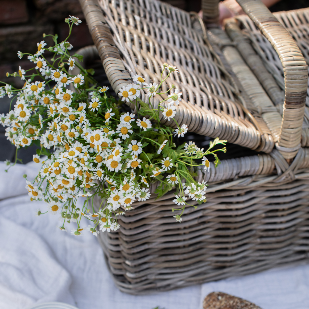 Rattan Picnic Basket