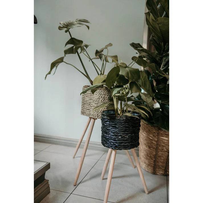 Large Medium Small Black Indoor Plant Pot Stand with plants inside