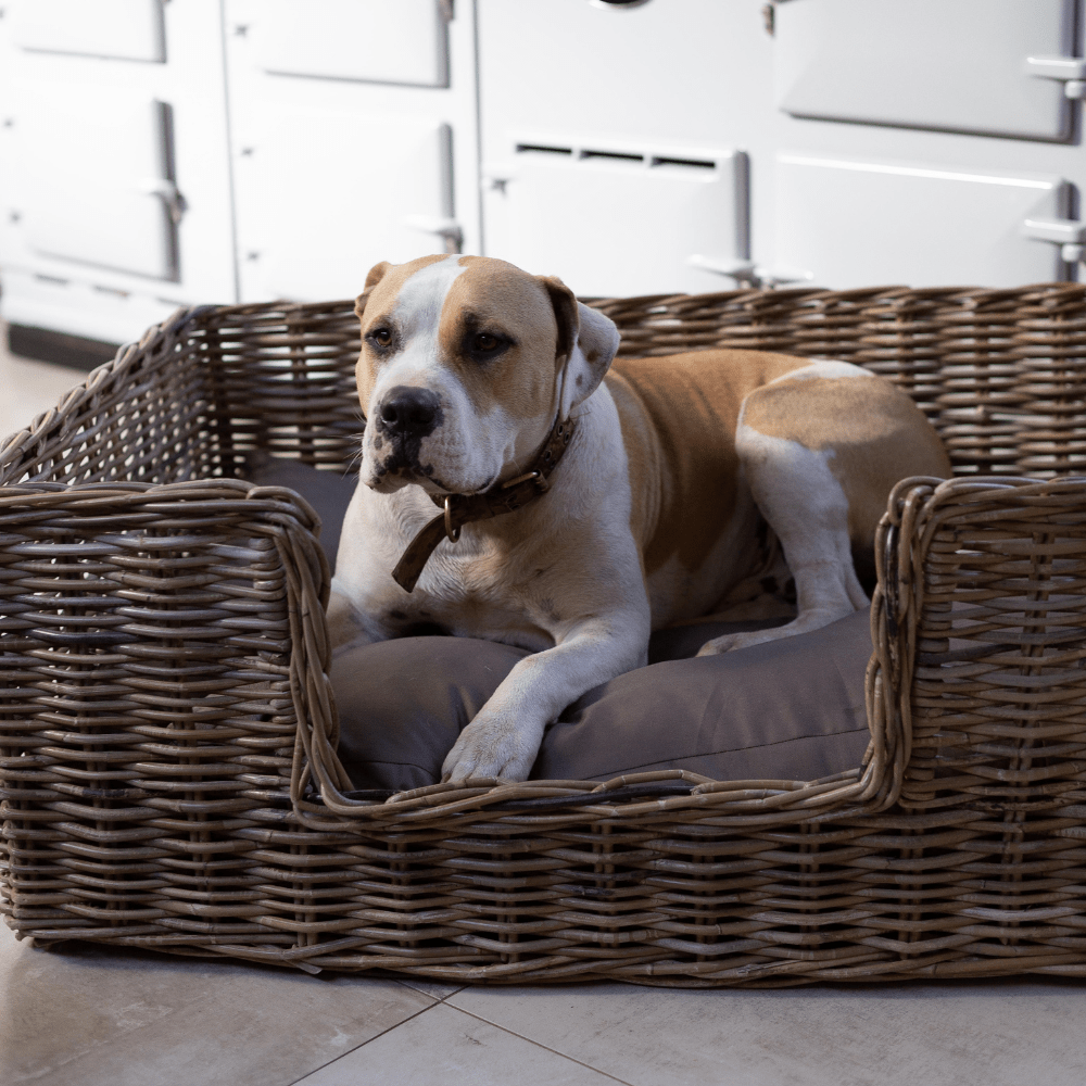 Rattan Pet Bed