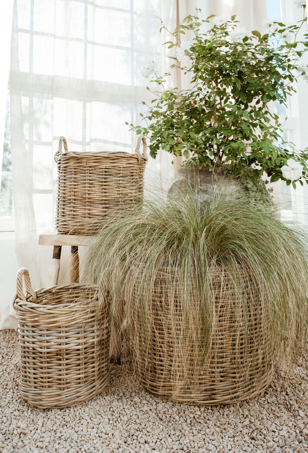 Rattan Round Flat Bottom Baskets - Basketly