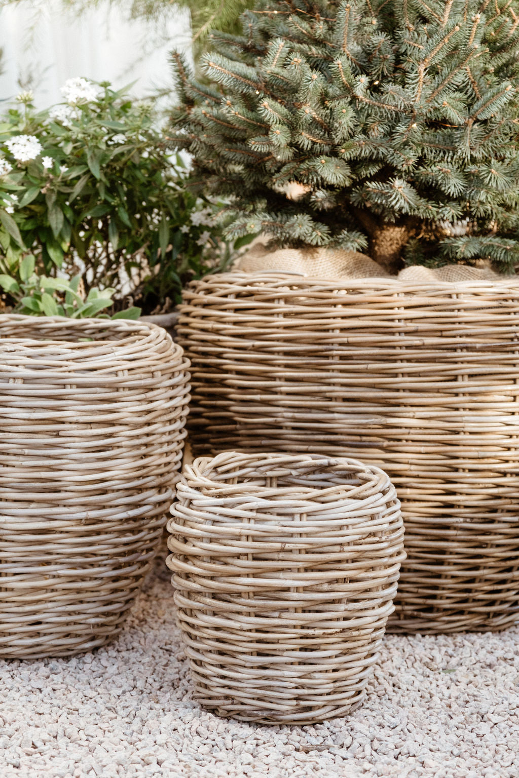 large basket plant pot Rattan Garden Baskets