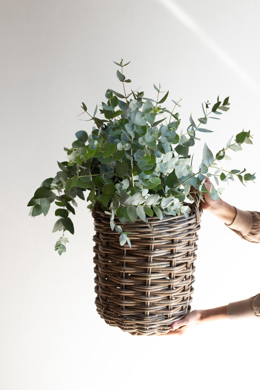 Rattan Round Basket - Basketly