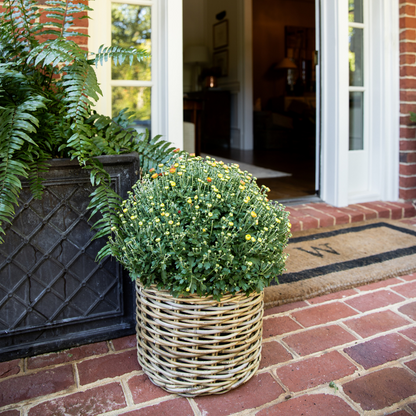 Rattan Planter Baskets