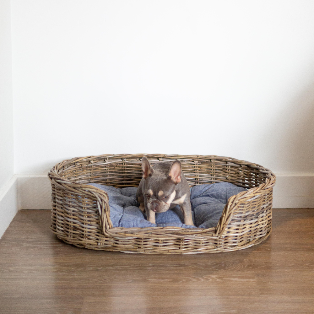 Oval Rattan Pet Bed with Pillow - Basketly