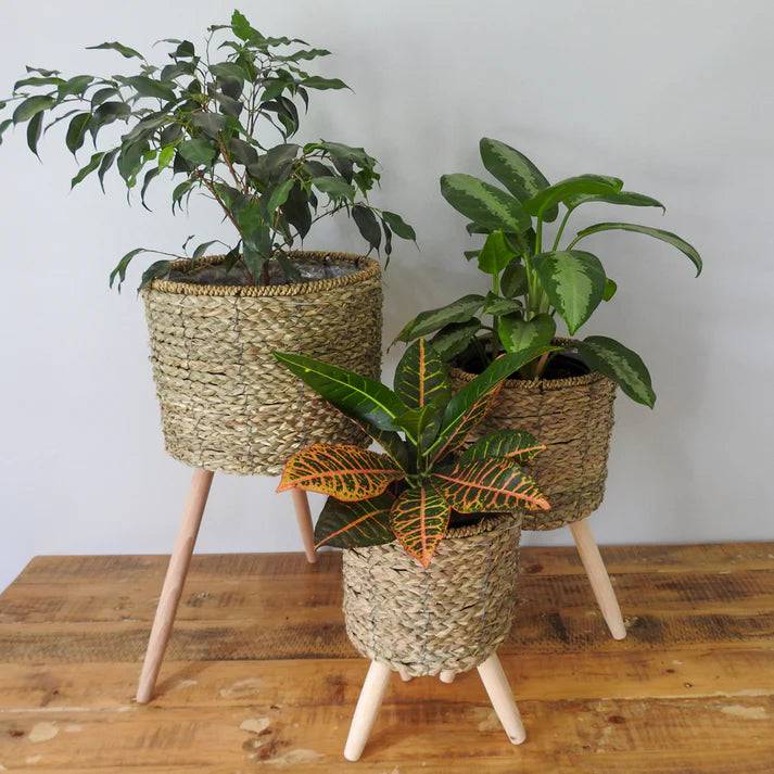 Natural Indoor Plant Pot Stand Set