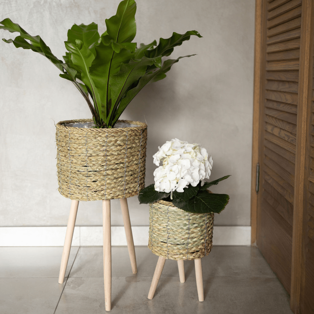 Natural Indoor Plant Pot Stand Set with Plants