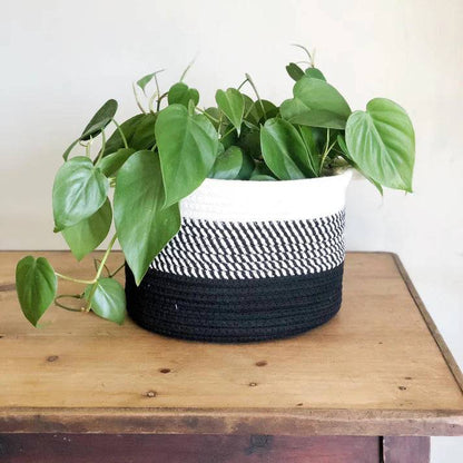 Black Ombre Cotton Basket with plant inside