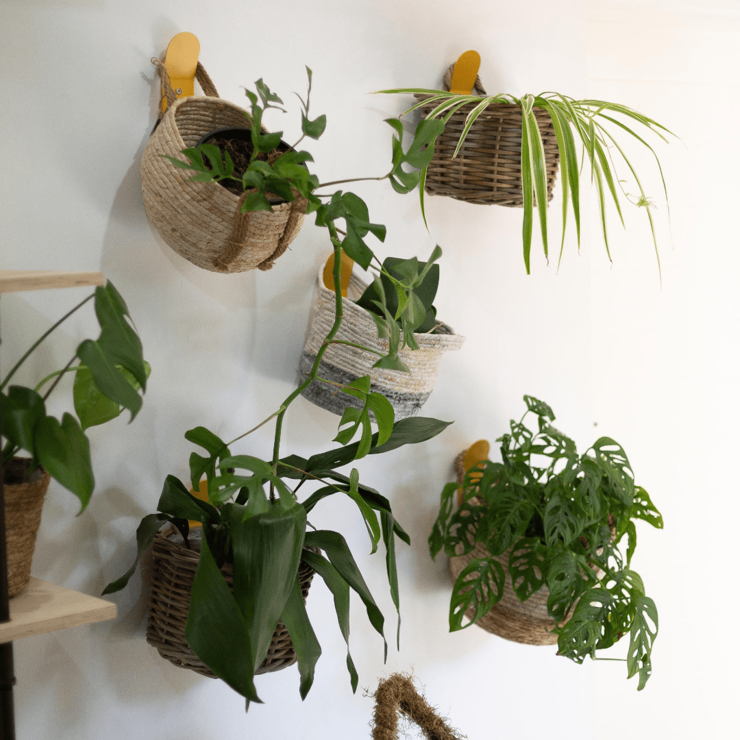 Rattan Wall Basket