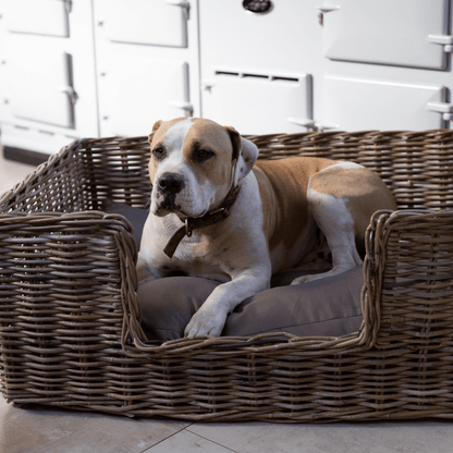 Rattan Pet Bed with Pillow - Basketly