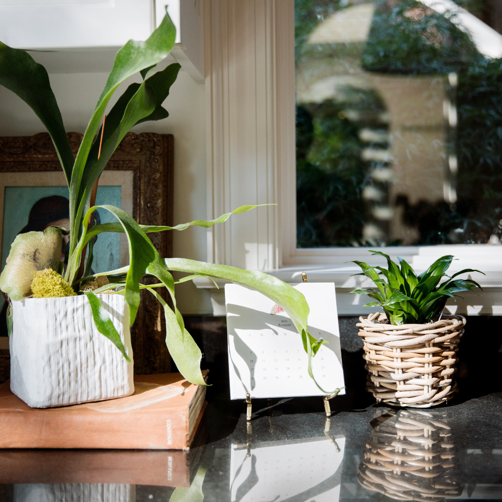 Rattan Flower Pot Basket with Plastic Inner